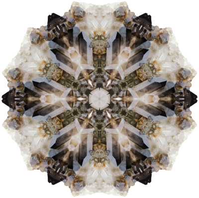 mandela_ammonite_sm_trans@2x